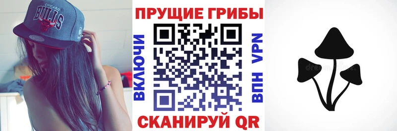 Псилоцибиновые грибы Cubensis  Оленегорск 
